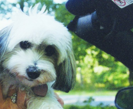 Carole&RoxieinCar_sml Carole&RoxieinCar_sml