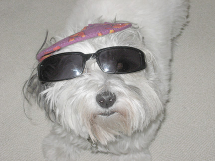 RoxieSummerSunglasses_sml